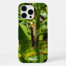 Search for insect electronics Forest
