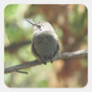 Search for young bird stickers Cute