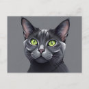 Search for russian blue cat postcards Pet