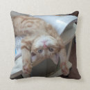 Search for relaxing cushions Photography