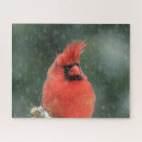 Search for snow storm puzzles Nature