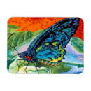 Search for brights magnets Insects