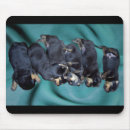 Search for rottweilers mouse mats Puppy