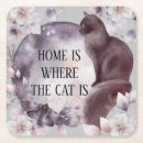 Search for magic coasters Cat