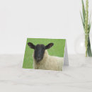 Search for sheep note cards Ewe