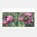 Search for irises stickers Floral