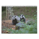 Search for animals calendars Forest