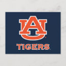 Search for war eagle postcards Aubie the tiger
