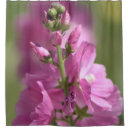 Search for mauve shower curtains Flowers