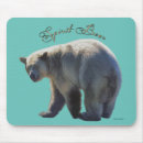 Search for bear lovers electronics Wildlife