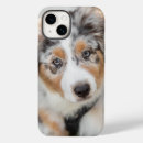 Search for australian shepherd iphone cases Puppy