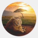 Search for elegant cat stickers Animal