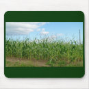 Search for corn field electronics Landscape