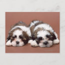 Search for sib postcards Friendship