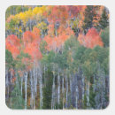 Search for provo stickers Environment
