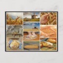 Search for bread loaf postcards Baked goods