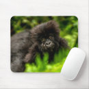 Search for mountain gorilla mouse mats Ape