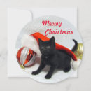 Search for photography christmas cards Cat