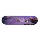 Search for views skateboards Snow