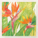 Search for bird coasters Tropical