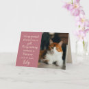Search for cat pet sympathy cards In loving memory
