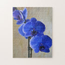 Search for orchid puzzles Garden