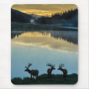 Search for cathy mouse mats Colorado