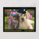 Search for why postcards Joke