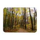 Search for laurel magnets Golden