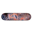 Search for tradition skateboards Samurai