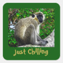 Search for small monkey stickers Nature