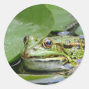 Search for frog lily pad stickers Wildlife