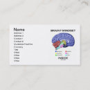 Search for anatomically business cards Brain