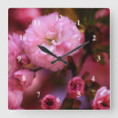 Search for spring cherry blossom art Plants