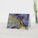 Search for medium format cards Close up