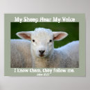 Search for sheep art posters John 10