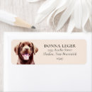 Search for chocolate lab return address labels Watercolor