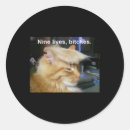 Search for funny voting stickers Democrat