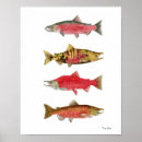Search for salmon fish posters Nature