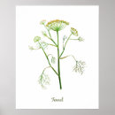 Search for herb illustration posters Watercolor