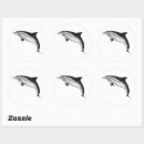 Search for bottlenose stickers Caribbean