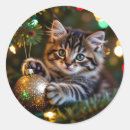 Search for tree lover stickers Kitten