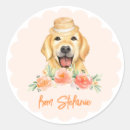 Search for cute golden retriever stickers Birthday