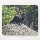 Search for mud mouse mats Wildlife