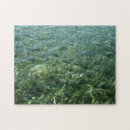 Search for grass puzzles Blue