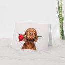 Search for dog valentines day cards Wife