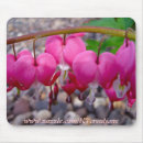 Search for bleeding mouse mats Flowers