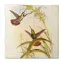 Search for hummingbird tiles Flower