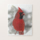 Search for red cardinal bird puzzles Songbirds