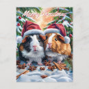 Search for guinea pig christmas cards Santa